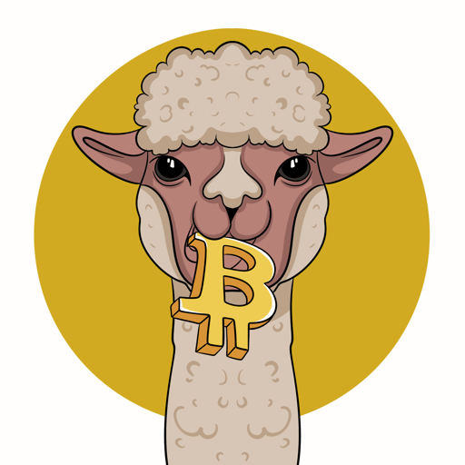 Alpaca