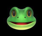 Team Frog