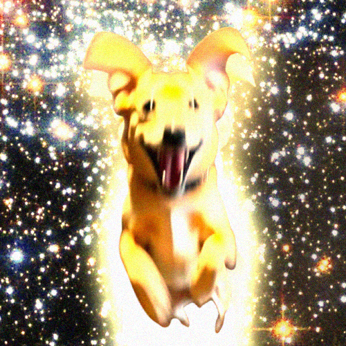 Sirius The Dog Star
