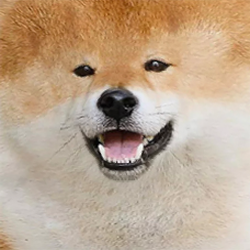 Tofu chan
