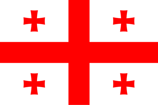 GEORGIA COIN
