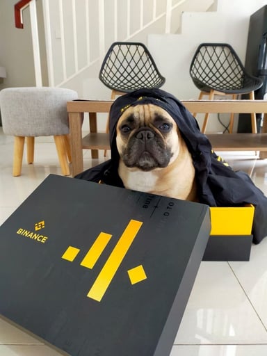bdog