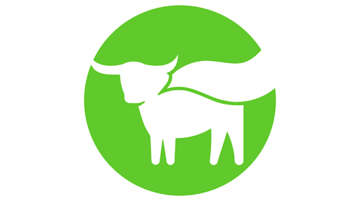 BEYOND MEAT INC