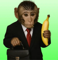 monkey business