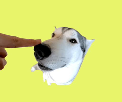 BOOP