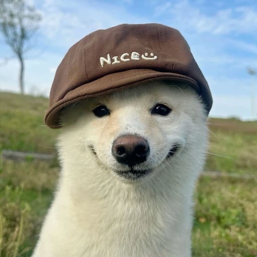 Chinese Dogwifhat