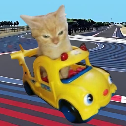 Vroom cat