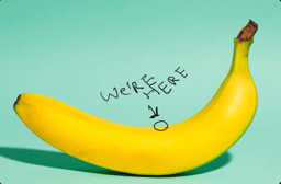 Banana Zone