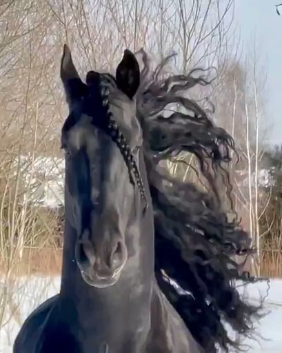 Frederik the Great