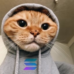 HOODCAT ON BELIEVE