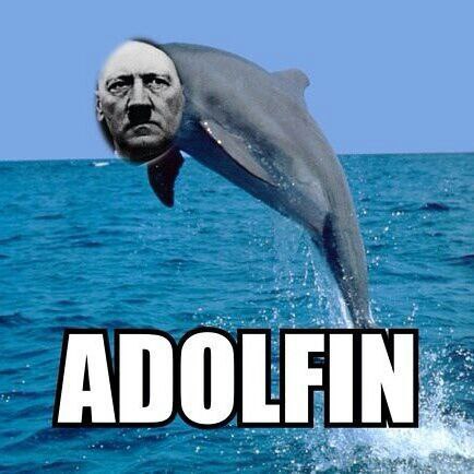 Adolfin