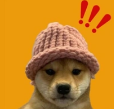 dogwifhat