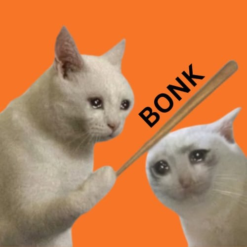 Bonk Cat