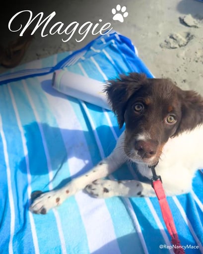 Maggie