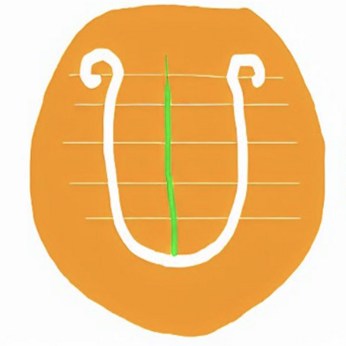 upless coin
