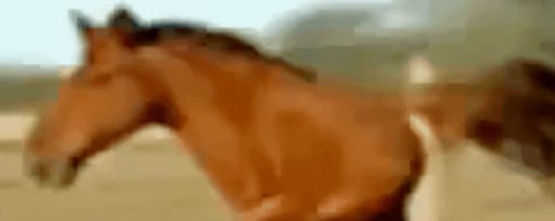 Retarded Running Horse