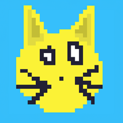 Solana Cat