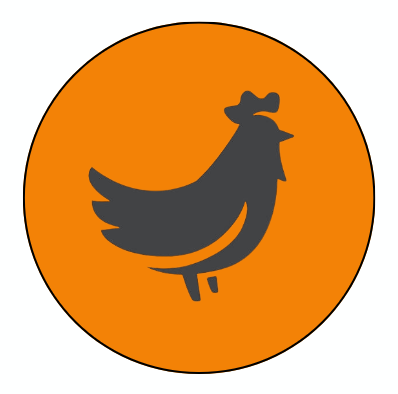stupid chicken coin