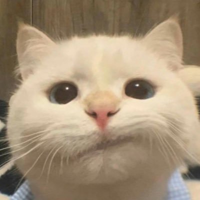 BRUH