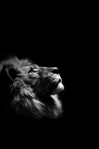 The Lion