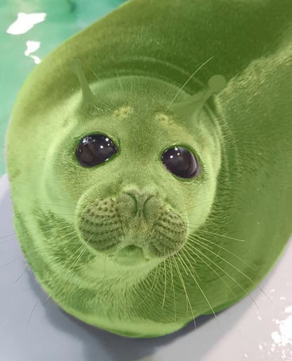 Punsy