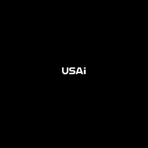 US Artificial Intelligence