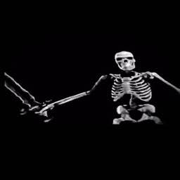 Skeleton Banging Shield