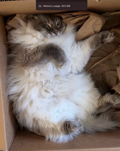 FLUFF