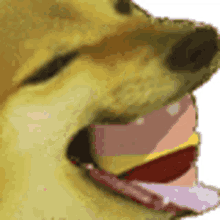 Cheemsburbger