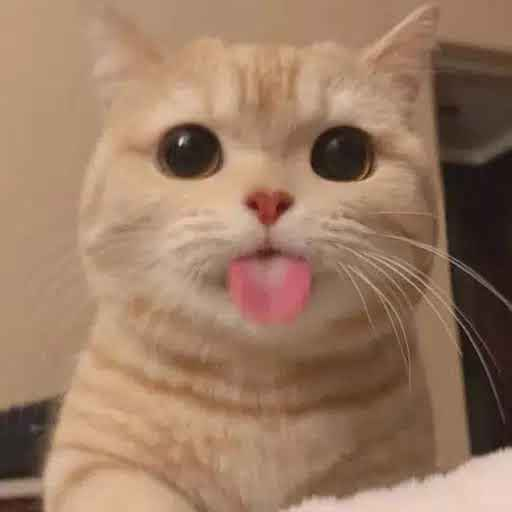 Blep