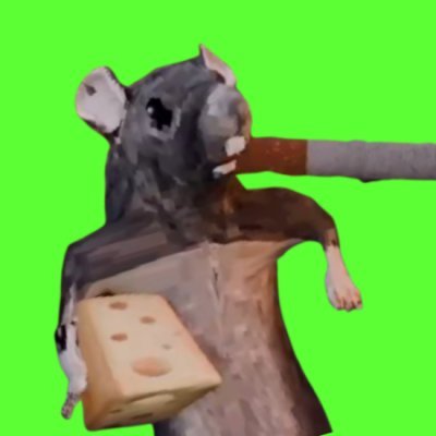 jerry the rat