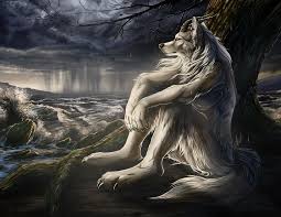 wolf yearning
