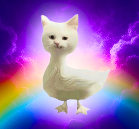 cat duck