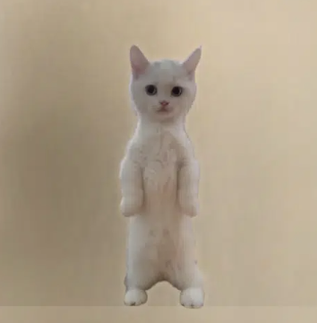 The Standing Cat