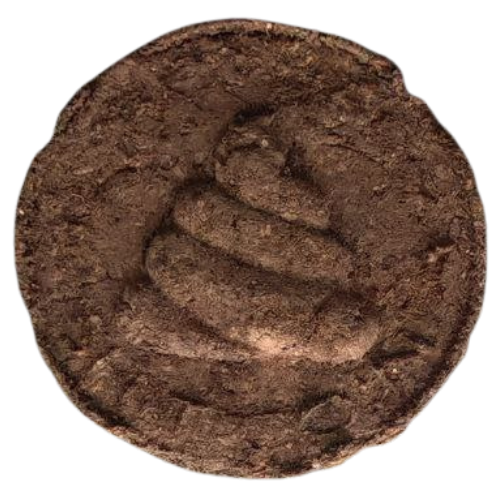 Actual Shitcoin