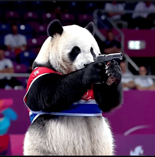 ANIMAL OLYMPICS