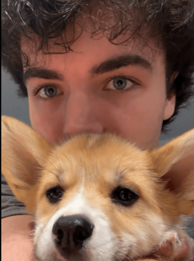 Nosey's Dog