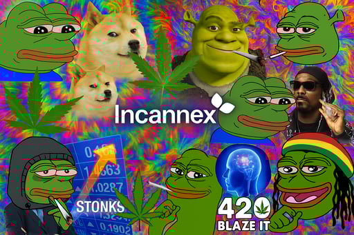 Incannex Healthcare Inc