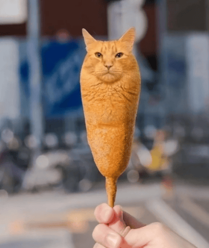 corndog cat