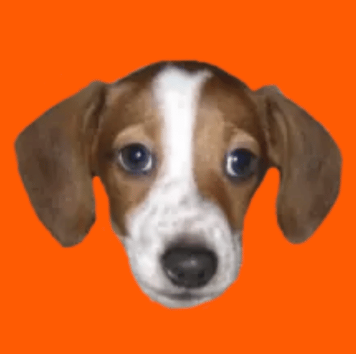 FrankerZ