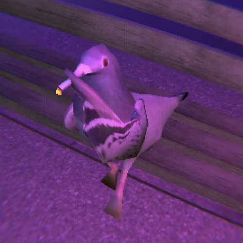 hopeless pigeon