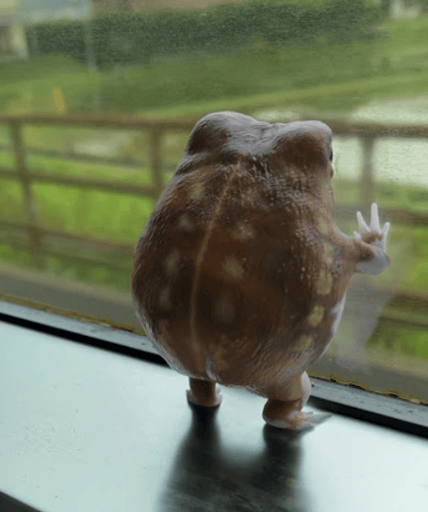 おもち