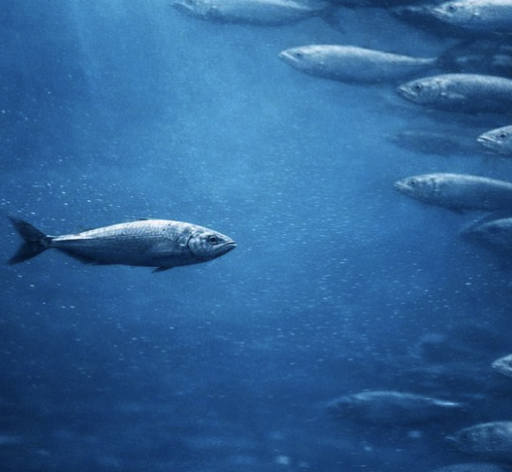 What if everyone is wrong...