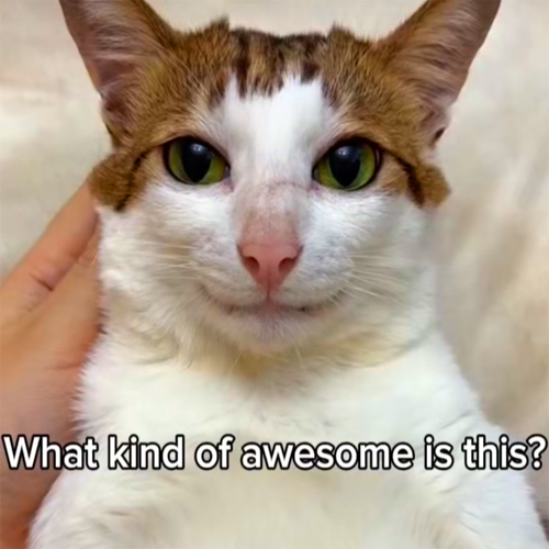 What Kind of Awesome is this?