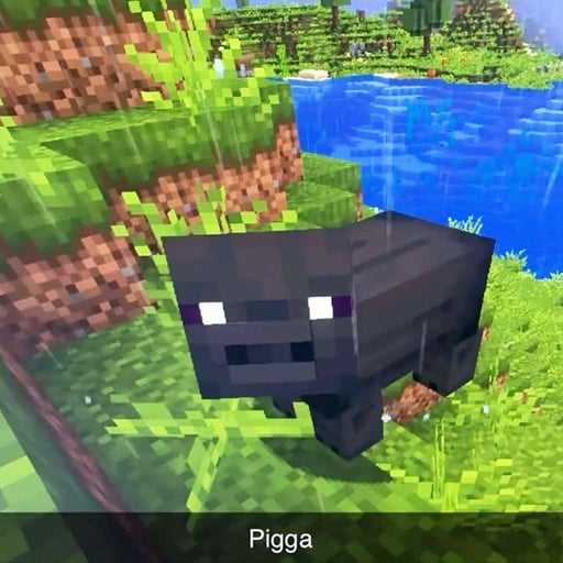 PIGGA