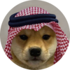 dogwifsaudihat