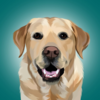 Emotional Support Dog