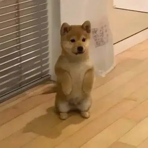 ICHI