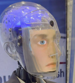 Robert The Robot