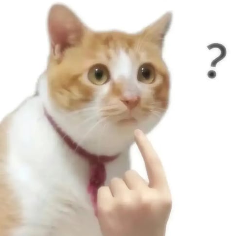 China's Meme Cat